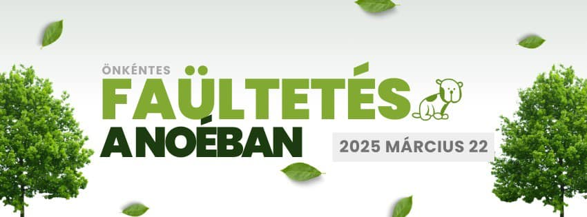 faultetes.jpg