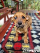 126572825e4d40c09b40f36.jpg
