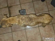 20250523_201117.jpg