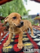 6d017ef80a2f4de28b72284.jpg