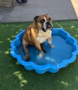 img_0702.jpeg