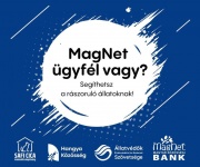 magnetbank.jpg