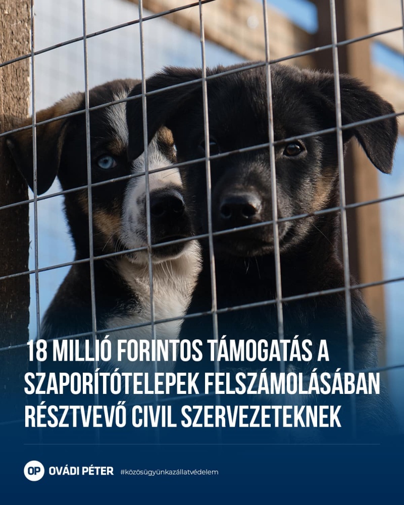 tamogatas_2.jpg