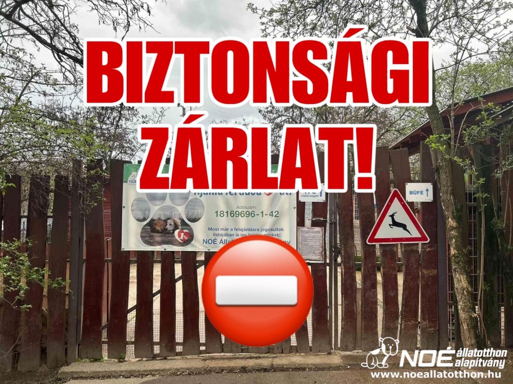 zarlat.jpg