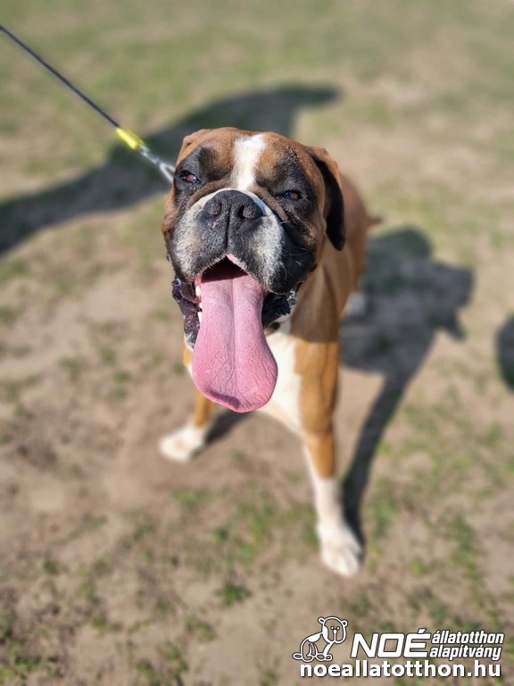 020e76726ddd48b7a73c02e.jpg