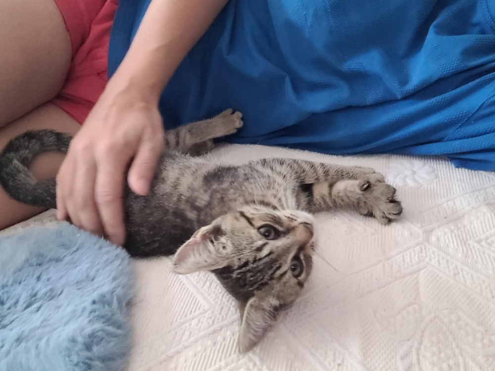 0d447bfe894246e395a1c3a.jfif