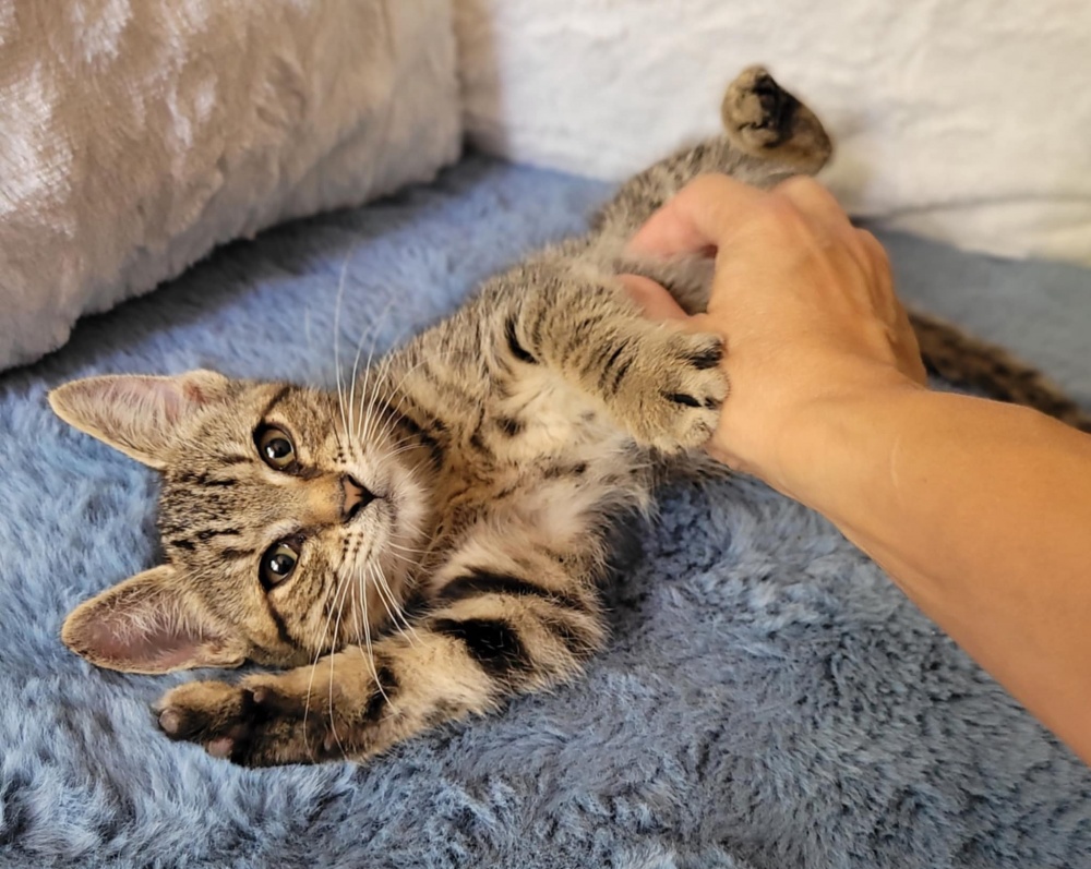 1f35b6f977fe405baa8c71d.jfif