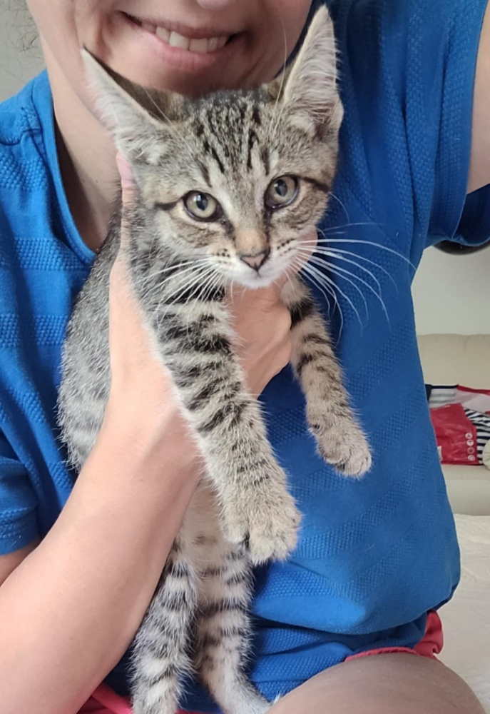 573fdd8fa2ec46fb9145acb.jfif