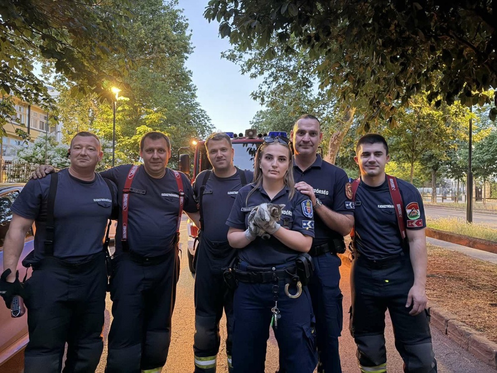 717067044.jpg