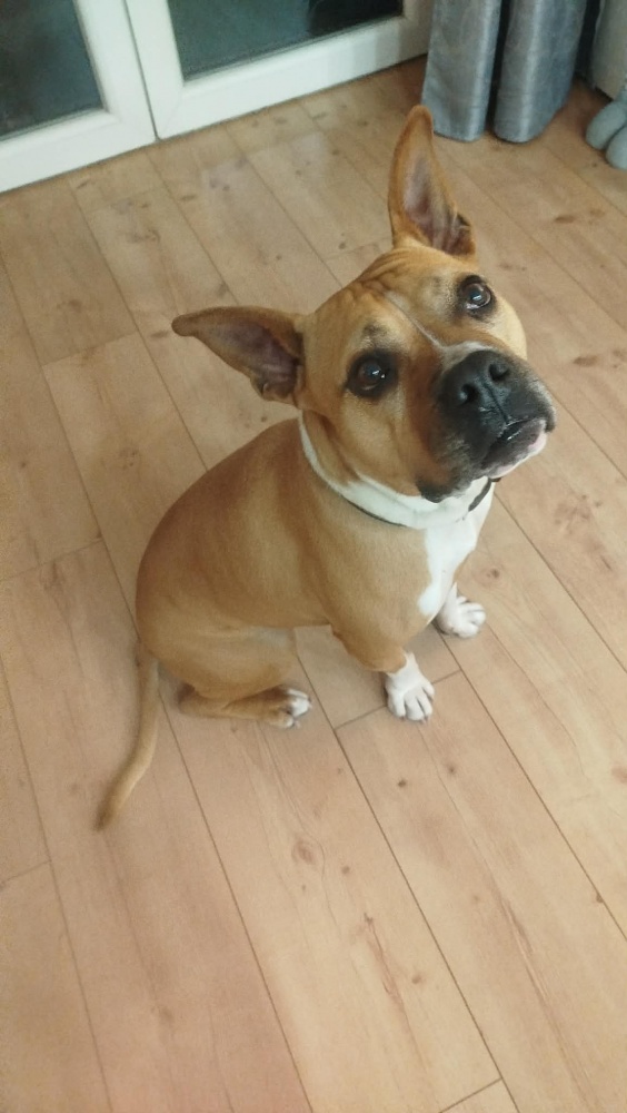 7ce04b2aedf141319ab7358.jfif