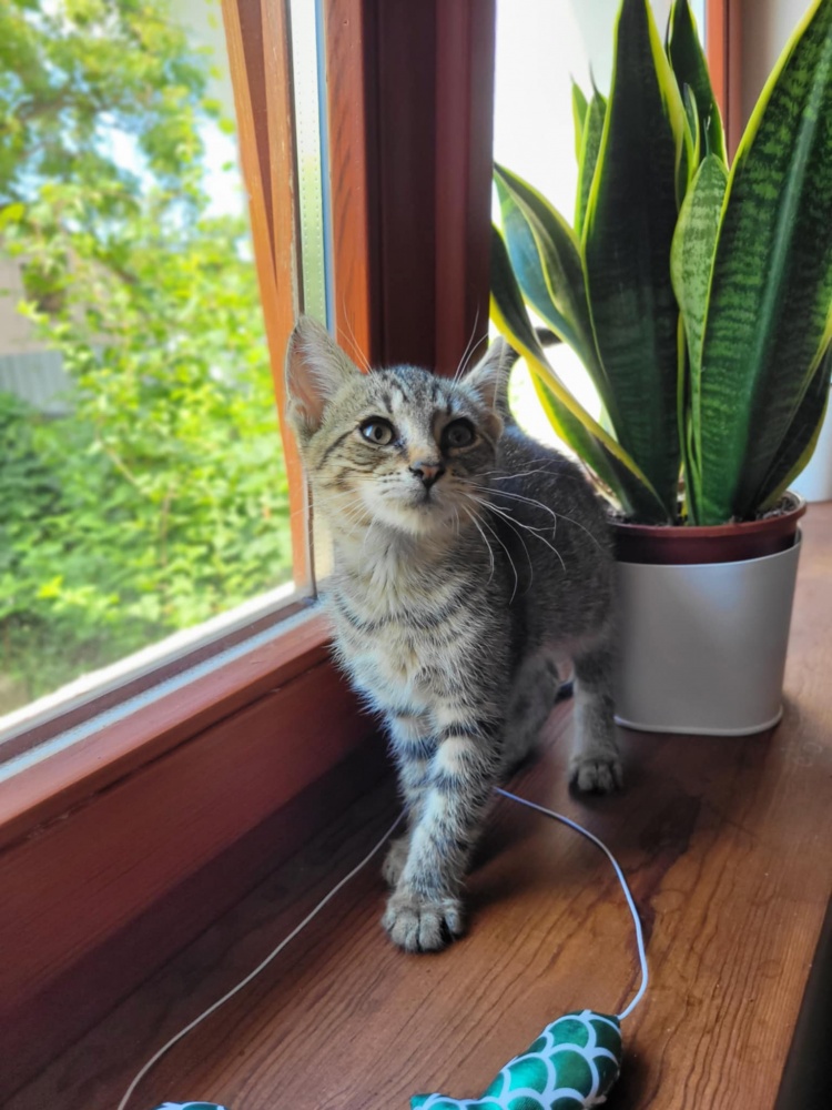 969132df2f734471aad280e.jfif