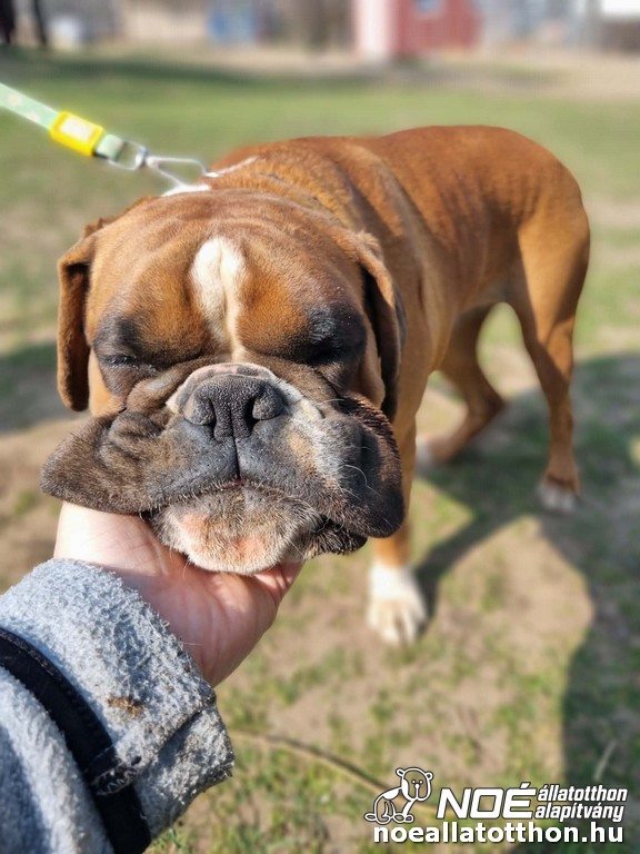 e41f2aec0fc1489ab1dfef0.jpg