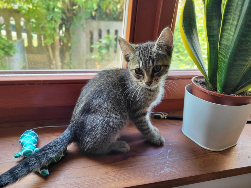 e875230042984b7e8450bc5.jfif