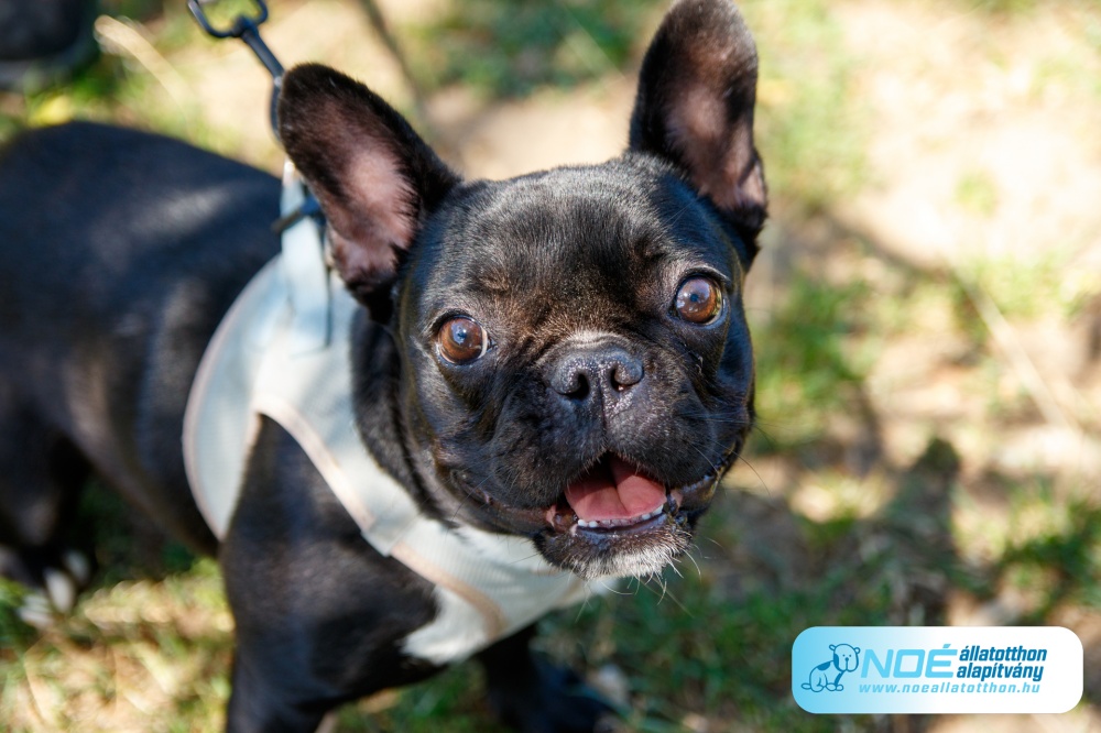 2f2a60432.jpg