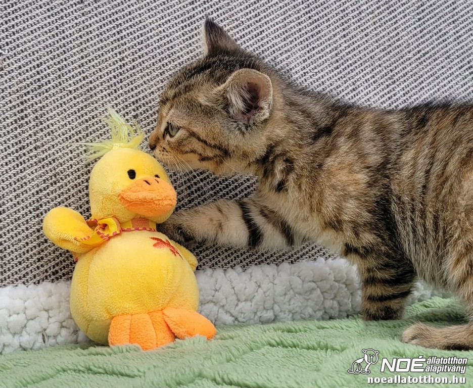 719425512_1739681850786.jpg