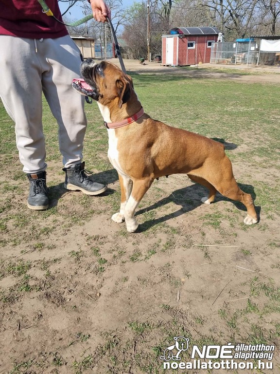 80e94c6dfcdb43d9b6f7522.jpg