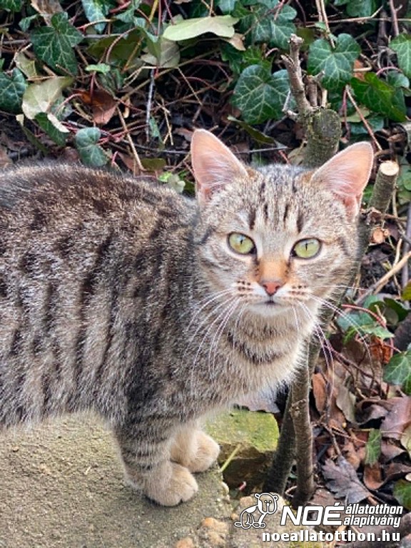 d8dd0897.jpg