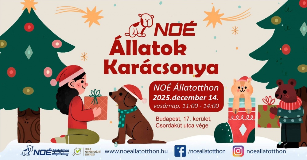 karacsony2025.jpg