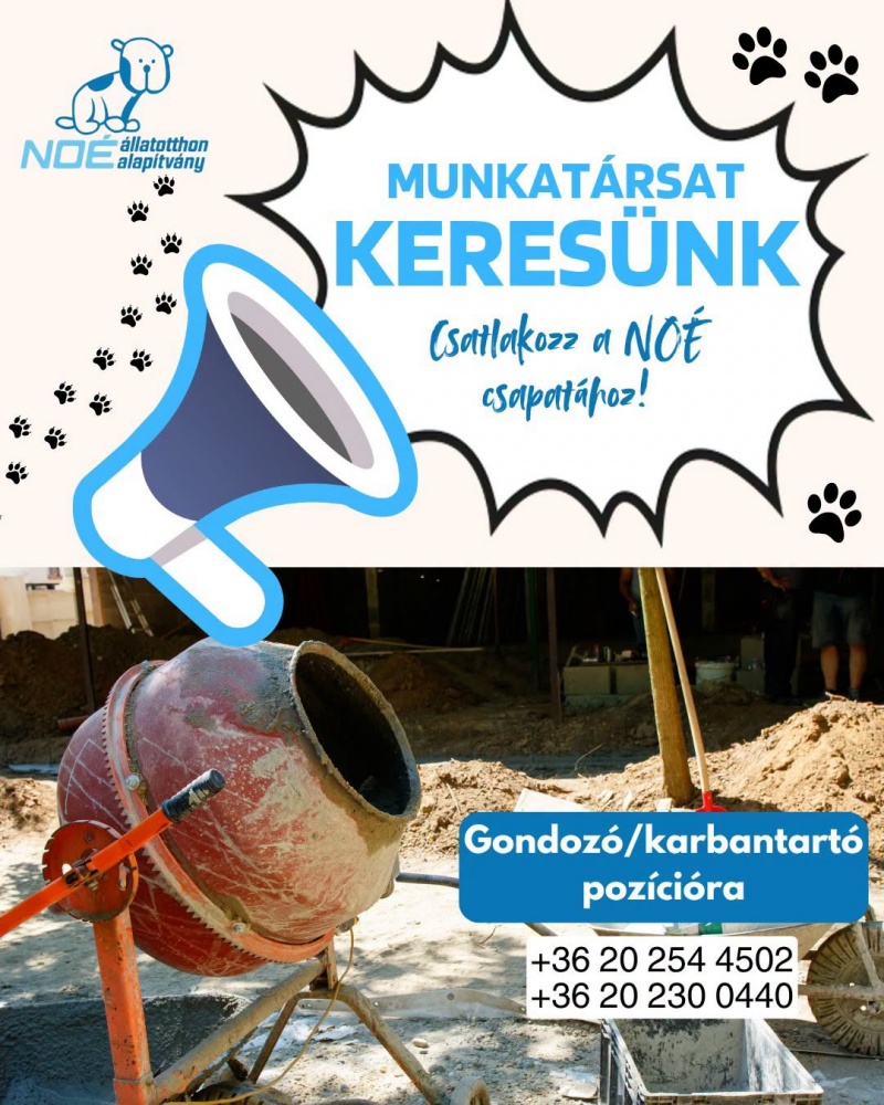 munkalehetsg.jfif
