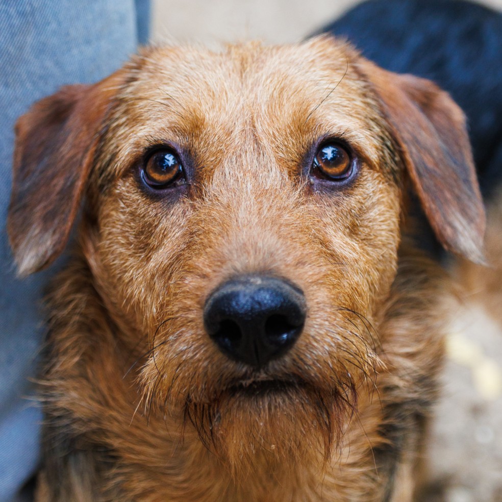 parade_profil.jpg