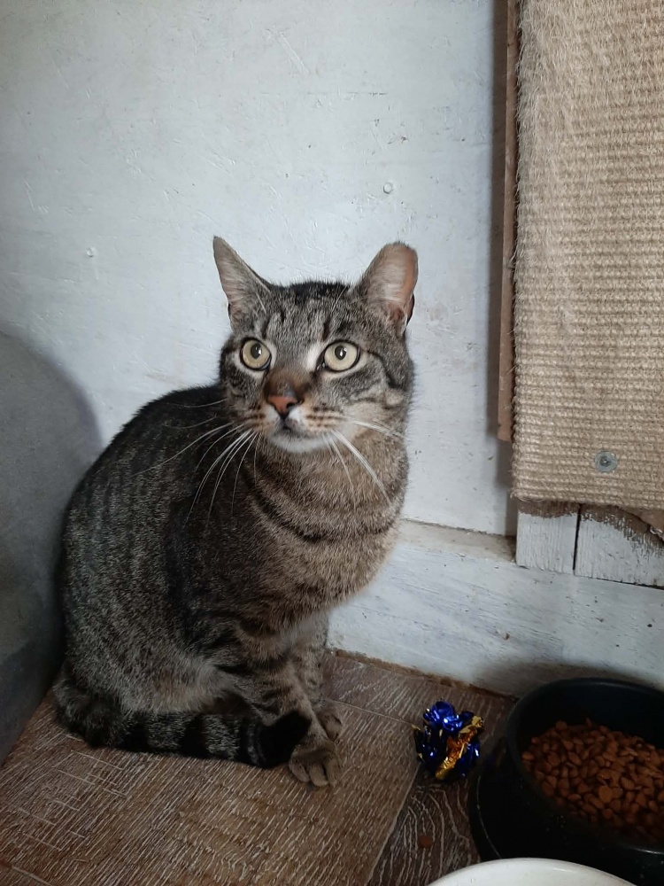 siracuse3.jpg