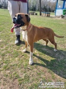 1368643756d8438aae41413.jpg