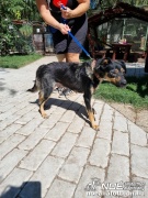 3144cc2a75474e289a9bd50.jpg