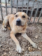 a3821065afa945bfa328796.jpg