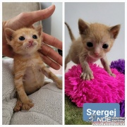 B�jovszkij Szergej