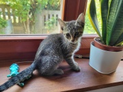 e875230042984b7e8450bc5.jfif