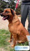 furfang_verde_8.jpg