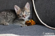 img_2795.jpg