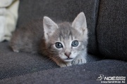 img_3161.jpg