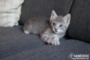 img_3162.jpg