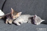 img_3326_2.jpg