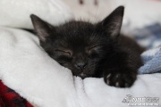 img_3773.jpg