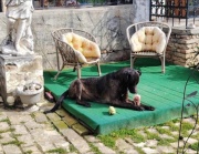 img_4401.jpeg