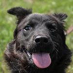 Kiky (34/SZ/2025)