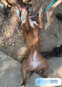 murugya_6.jpg