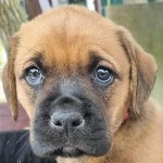 Majdnem csald Serena