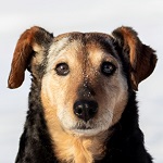 Studenka (21/SZ/2021)