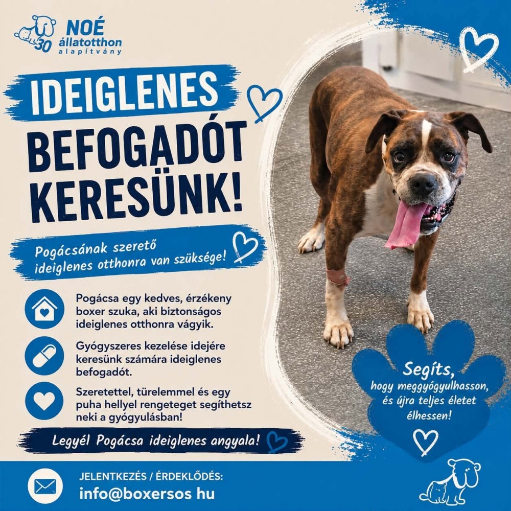 pogacsa_ideiglenes.jpg
