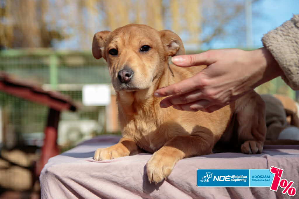 salg_cilinder_3.jfif