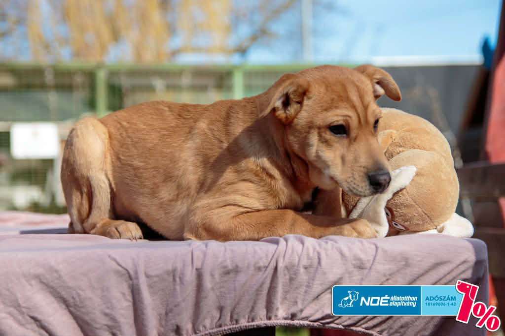 salg_cilinder_4.jfif