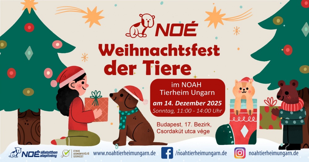weihnachtsfest.jpg